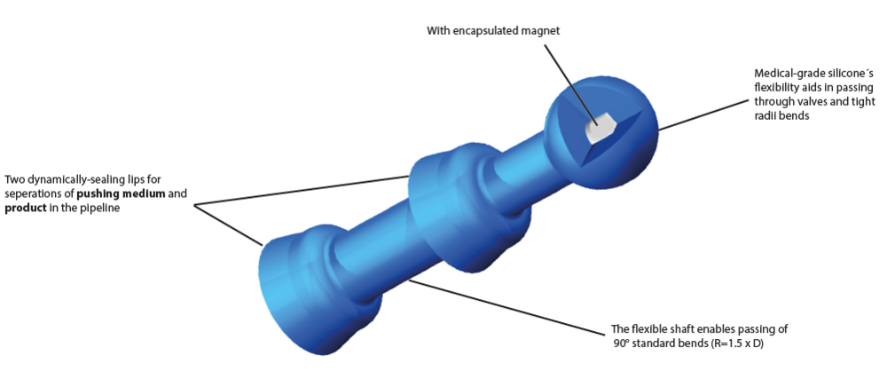 csm DMV Molch 0924 USA 3054342450